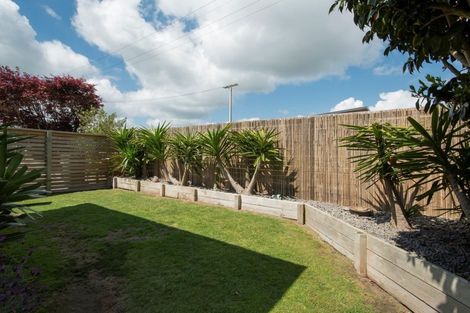 Photo of property in 11 Stewart Street, Te Puke, 3119