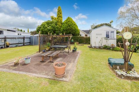 Photo of property in 62 Puniu Road, Te Awamutu, 3800