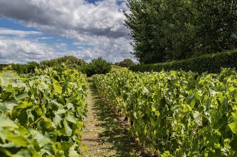 Photo of property in 41 Vineyard Lane, Waipara, 7483