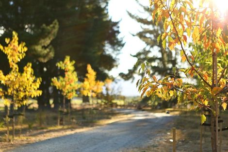 Photo of property in 65 Butterfield Road, Hawea Flat, Wanaka, 9382