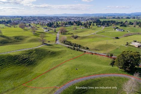 Photo of property in 130 Lichfield Road, Lichfield, Putaruru, 3482