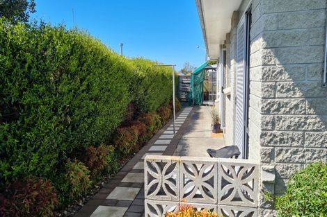 Photo of property in 1/24 Oxford Street, Taradale, Napier, 4112