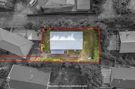 Photo of property in 184 Hutchinson Avenue, New Lynn, Auckland, 0600