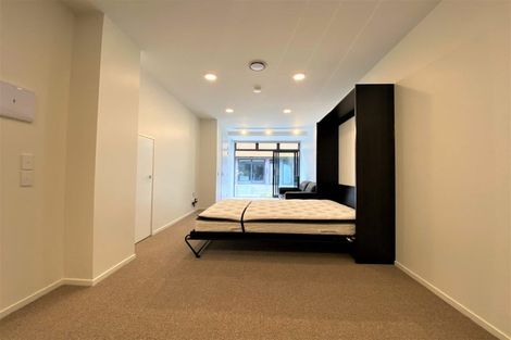 Photo of property in Aniva Terrace, 21 Arney Street, Newtown, Wellington, 6021