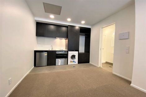 Photo of property in Aniva Terrace, 21 Arney Street, Newtown, Wellington, 6021