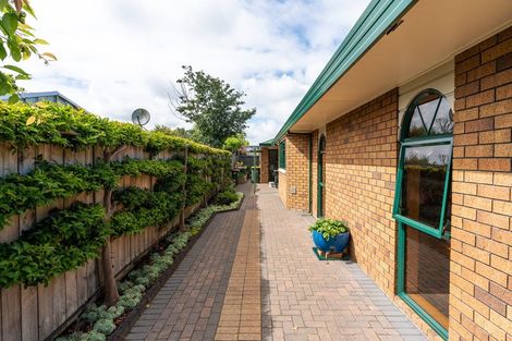 Photo of property in 19 Kingsford Mews, Hamilton East, Hamilton, 3216