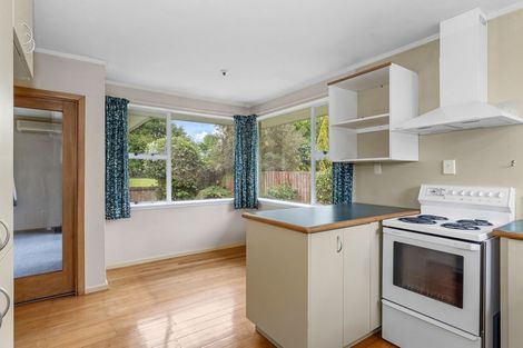 Photo of property in 10 Amos Place, Shirley, Christchurch, 8061
