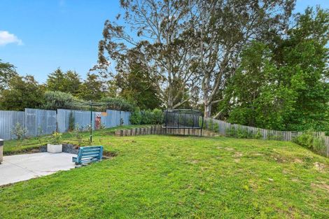 Photo of property in 16 Te Wheoro Street, Meremere, Mercer, 2474