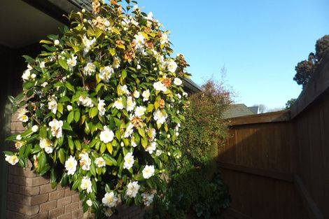 Photo of property in 104 Rugby Street, Merivale, Christchurch, 8014