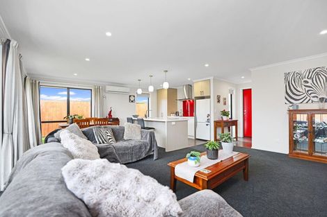 Photo of property in 71b Cambridge Street, Hampstead, Ashburton, 7700