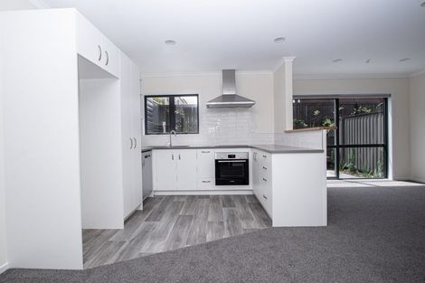 Photo of property in 3u5 Palmerston Street, Hamilton Central, Hamilton, 3204