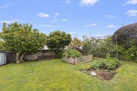 Photo of property in 8 Morrice Avenue, Morrinsville, 3300
