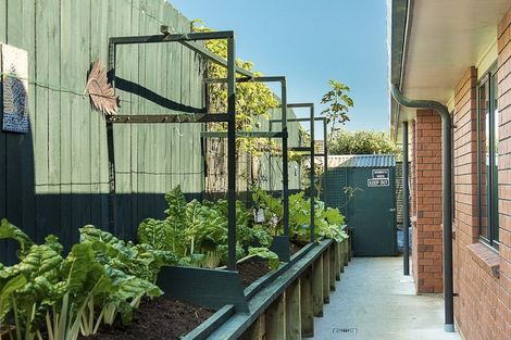 Photo of property in 1 Ludlow Place, Pukekohe, 2120