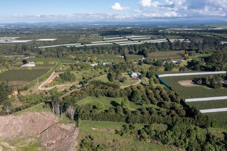 Photo of property in 612 No 1 Road, Te Puke, 3182