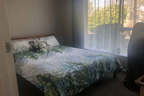 Photo of property in 81 Lowry Avenue, Redwood, Christchurch, 8051