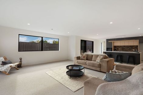 Photo of property in 14a Wicklow Street, Cromwell, 9310