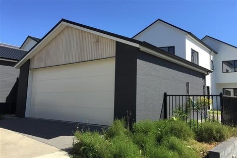 Photo of property in 9 Frances Bryers Road, Hobsonville, Auckland, 0616
