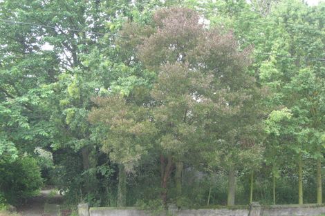 Photo of property in 167 Opawa Road, Hillsborough, Christchurch, 8022