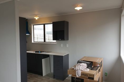 Photo of property in 19 Matthews Road, Flat Bush, Auckland, 2019