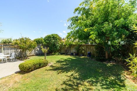 Photo of property in 21 Madison Avenue, Milson, Palmerston North, 4414
