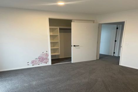 Photo of property in 29 Petries Road, Woodend, 7610