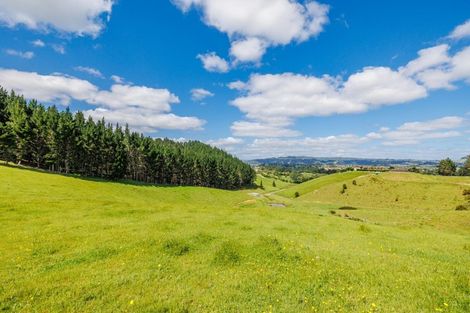 Photo of property in 52 Tuiglen Place, Glenbervie, Whangarei, 0173