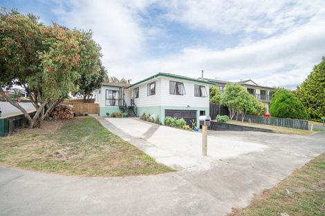 Photo of property in 47 Fraser Drive, Feilding, 4702