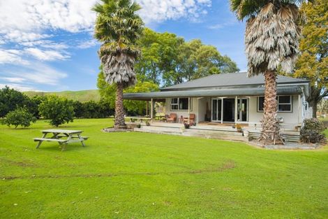 Photo of property in 144 Ngakoroa Road, Ormond, Gisborne, 4071