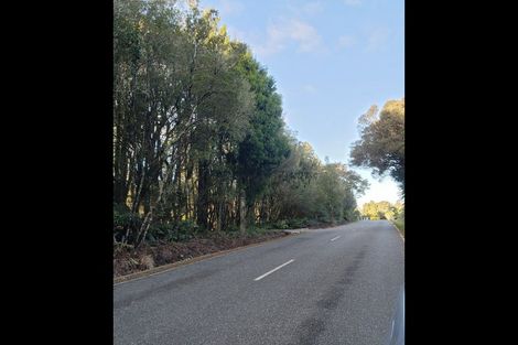 Photo of property in 955 Old Christchurch Road, Awatuna, Hokitika, 7882