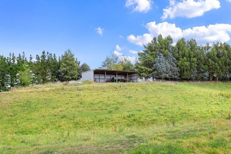Photo of property in 117 Kennedys Hill Road, Fernside, Rangiora, 7471