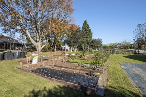 Photo of property in 33 Bradford Street, Waihi, 3610