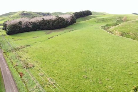 Photo of property in 130 Bowen Road, Eketahuna, 4994