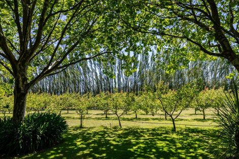 Photo of property in 92 Pauls Road, Rapaura, Blenheim, 7273