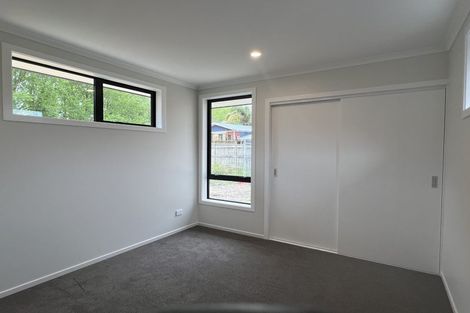 Photo of property in 121 Fitzroy Avenue, Fitzroy, Hamilton, 3206