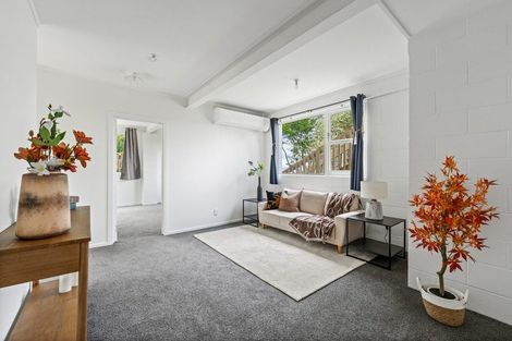 Photo of property in 224 Don Buck Road, Massey, Auckland, 0614