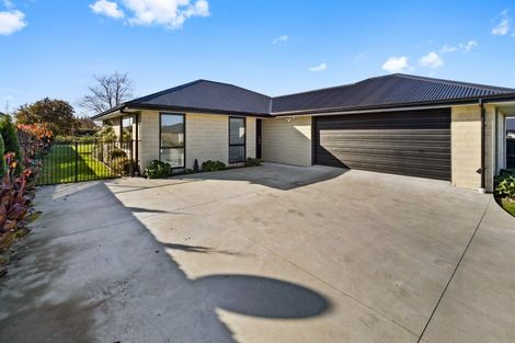 Photo of property in 23 Redhaven Rise, Netherby, Ashburton, 7700