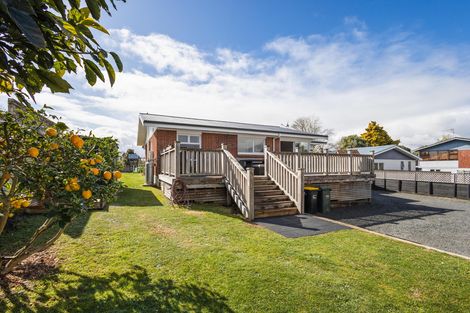 Photo of property in 157 Mcnair Road, Te Awamutu, 3800