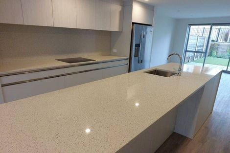 Photo of property in 19 Gunn Way, Hobsonville, Auckland, 0616