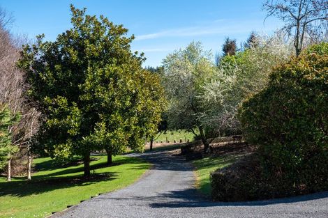 Photo of property in 207c State Highway 30, Tikitere, Rotorua, 3074