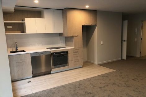 Photo of property in Vsp South, 105/168u Victoria Street, Te Aro, Wellington, 6011