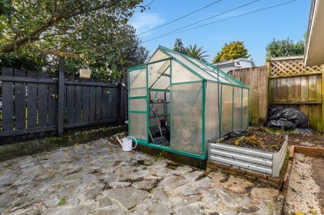 Photo of property in 66 Kingswood Road, Brookfield, Tauranga, 3110