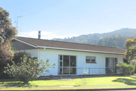 Photo of property in 111 Burke Street, Thames, 3500
