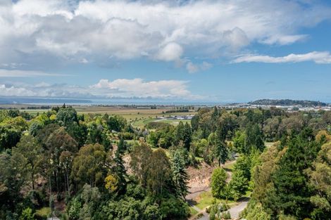 Photo of property in 88 Oak Road, Poraiti, Napier, 4112
