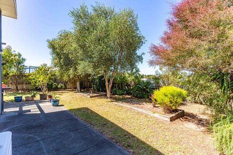 Photo of property in 4 Sandpiper Lane, Mangawhai Heads, Mangawhai, 0505