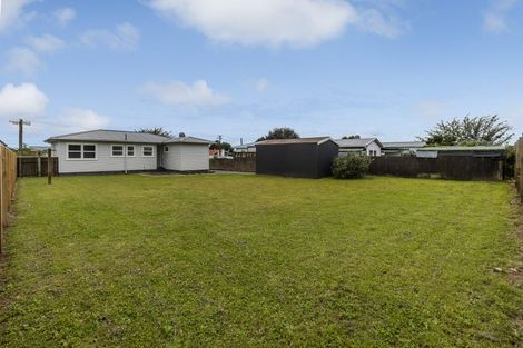 Photo of property in 20 Cobham Street, Levin, 5510