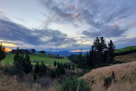 Photo of property in 447 Waddle Road, Waikana, Gore, 9772