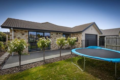 Photo of property in 3 Picasso Place, Rolleston, 7614