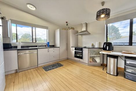 Photo of property in 55 Manfield Street, Tokoroa, 3420