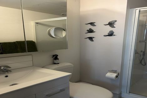 Photo of property in Dual Apartments, 108/142u Vivian Street, Te Aro, Wellington, 6011