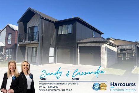 Photo of property in 45 Tennille Street, Flagstaff, Hamilton, 3210